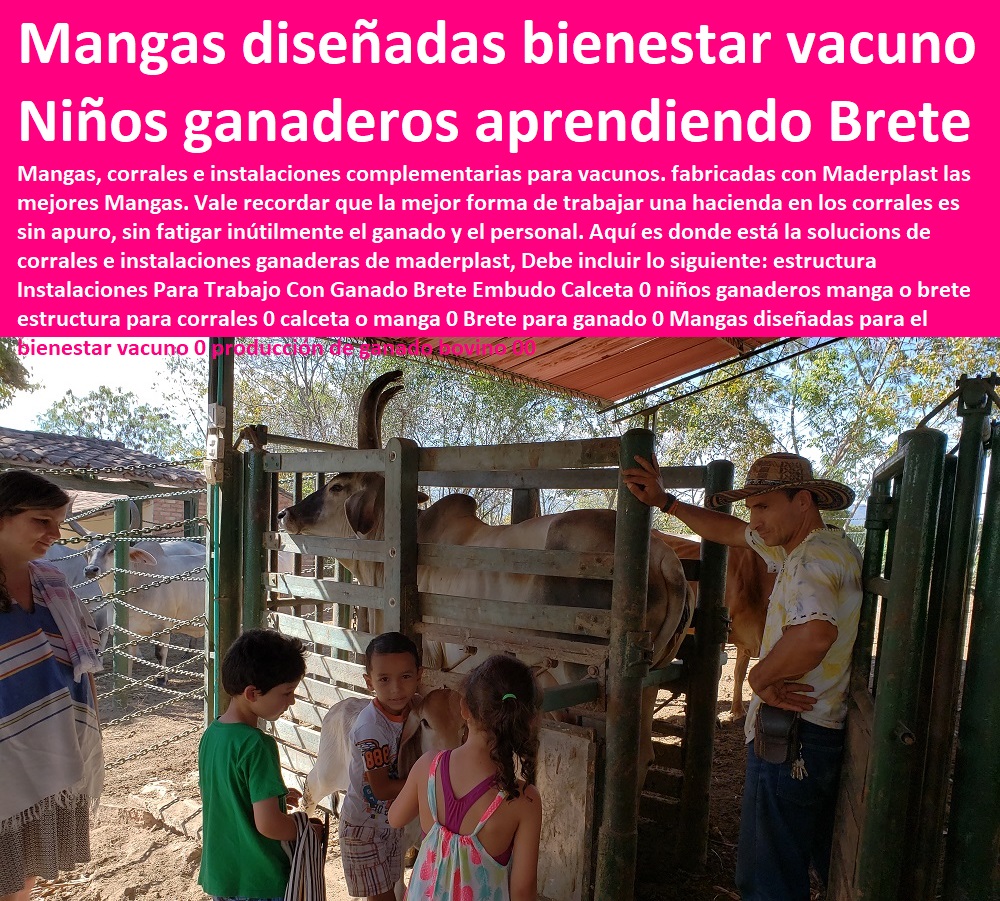 Instalaciones Para Trabajo Con Ganado Brete Embudo Calceta 0 niños ganaderos manga o brete estructura para corrales 0 calceta o manga 0 Pesebreras De Caballos, Plaza Toros, Brete Ganadero, Apretaderos Embarcaderos, Postes Tablas, Corral Caballerizas, Polines Varetas, Mangas De Coleo, Horcones Madera Plástica, Corrales, Establos De Ganado, Mangas De Coleo, Brete para ganado 0 Mangas diseñadas para el bienestar vacuno 0 producción de ganado bovino 00 Instalaciones Para Trabajo Con Ganado Brete Embudo Calceta 0 niños ganaderos manga o brete estructura para corrales 0 calceta o manga 0 Brete para ganado 0 Mangas diseñadas para el bienestar vacuno 0 producción de ganado bovino 00